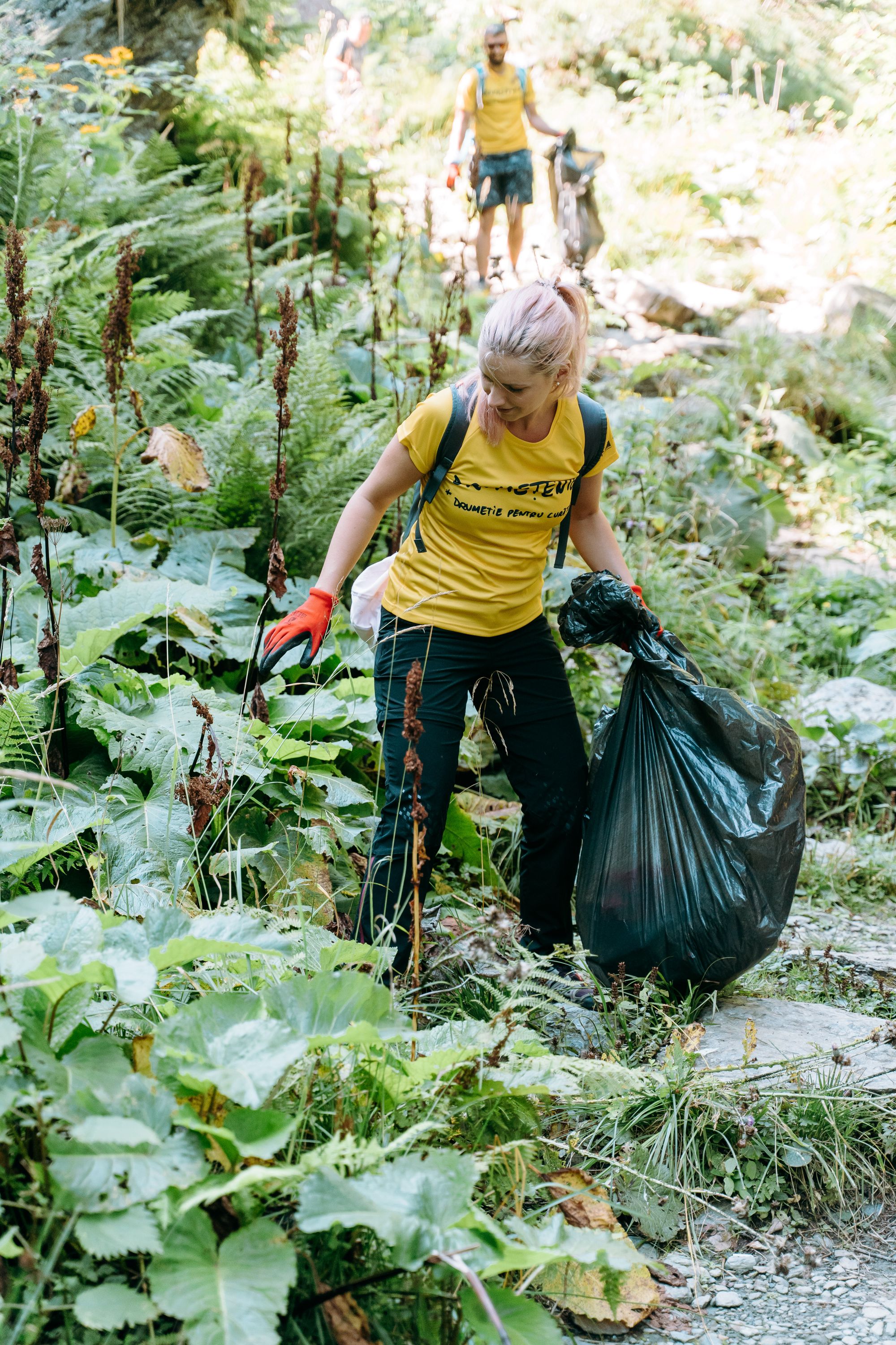 ecologizare balea