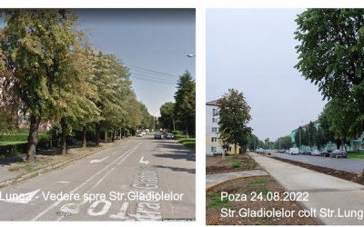 Locuitorii din Terezian anunță o nouă acțiune de defrișare: ”Întregul cartier a devenit un cuptor arid”. Primăria: Arborii tăiați erau uscați sau bolnavi. Au fost plantați peste 130 de arbori