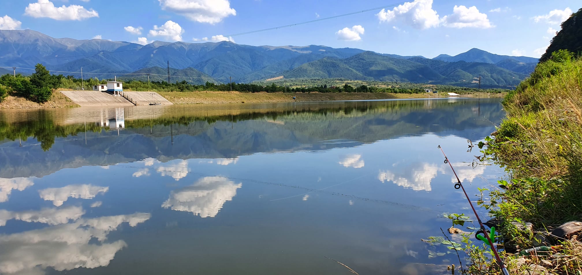VIDEO – Val de pești morți pe Olt. Directorul Hidrocentrale Sibiu: Oltul se apropie de un minim istoric