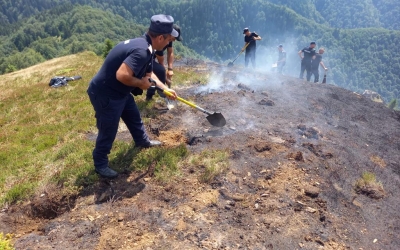 VIDEO Actualizare: Incendiul de la granița cu județul Sibiu a fost lichidat. Au ars 3 ha de vegetație și pădure tânără de conifere