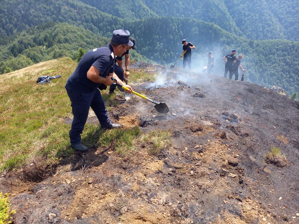 VIDEO Actualizare: Incendiul de la granița cu județul Sibiu a fost lichidat. Au ars 3 ha de vegetație și pădure tânără de conifere