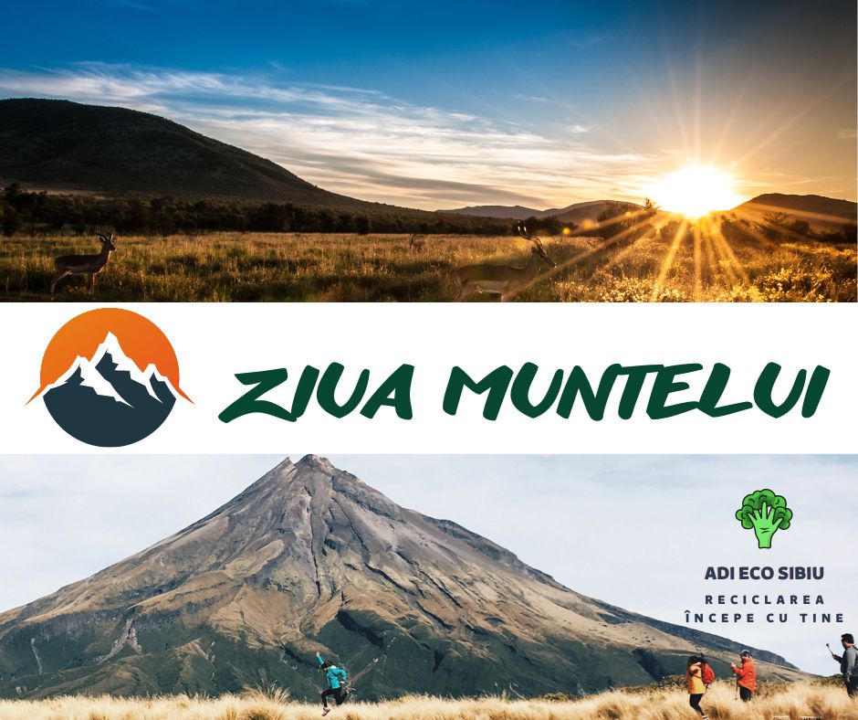 ADI ECO Sibiu: Vom sărbători ziua muntelui printr-o acțiune de ecologizare