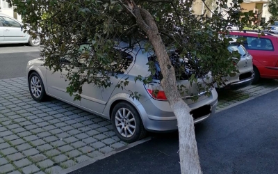 FOTO-Urmările vântului puternic de astăzi: Copaci doborâți pe mașini, acoperișuri afectate