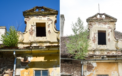 Protecția mediului în Sibiu: Copacul de pe acoperișul monumentului donat de Maria Tereza a crescut cu un metru