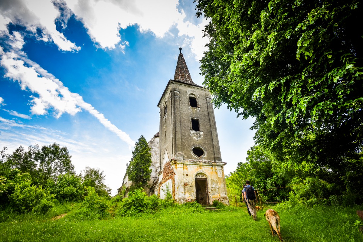 În acest week-end Profi lansează la Apoș, Sibiu, una dintre cele mai puternice campanii de susținere a producătorilor locali