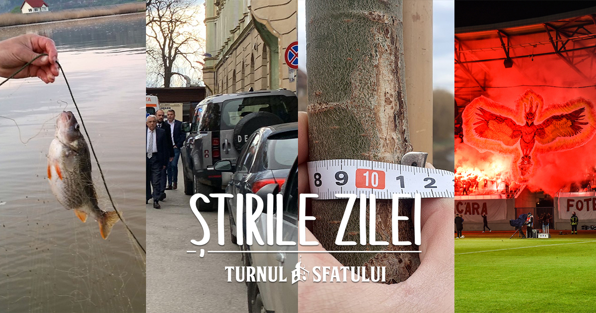 Știrile zilei - 17 ianuarie. Sălciile de pe Cibin mai subțiri decât era prevăzut, fără pescuit comercial pe Olt, vă puteți vaccina antigripal în farmacie