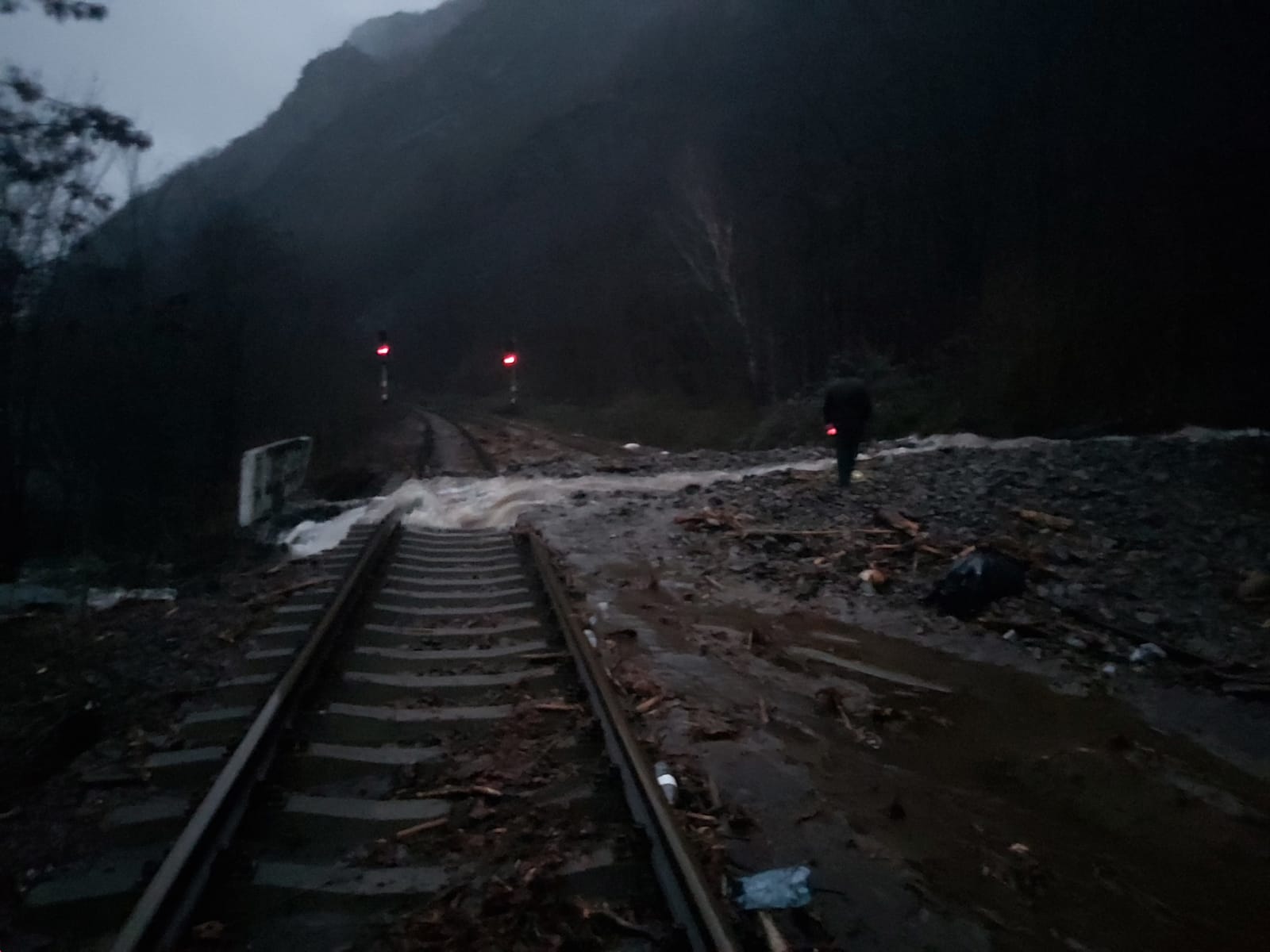 Un tren cu 100 de călători, blocat în apropiere de Petroșani din cauza unor arbori căzuți pe șine