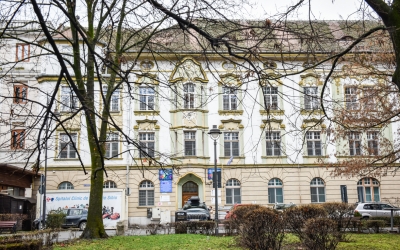 Alte trei decese în Sibiu din cauza gripei. 60% dintre cazurile raportate în ultima săptămână sunt la copii
