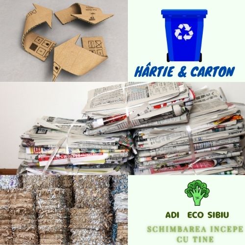 Cum colectăm corect hârtia? Ce punem în pubela albastră și cum putem reduce consumul de hârtie