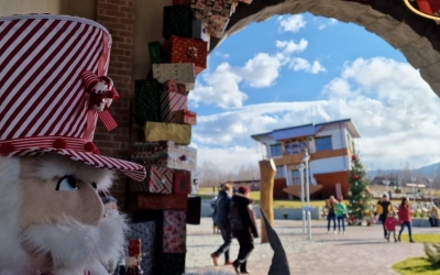 Reportaj în cea mai ”trăsnită” casă din judeţul Sibiu