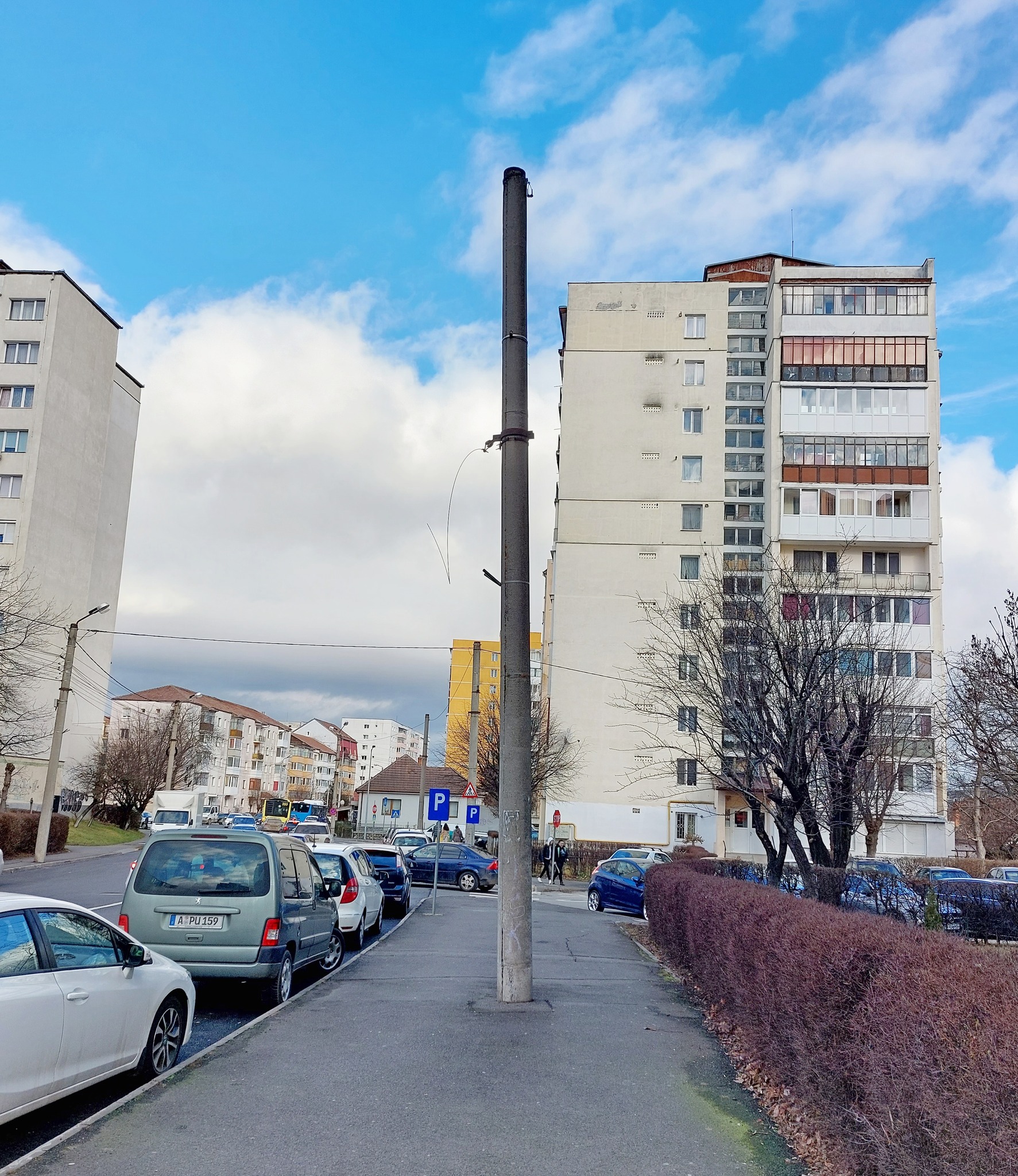 Consilier local, despre un stâlp în mijlocul trotuarului: ”nici măcar nu face umbră pământului”