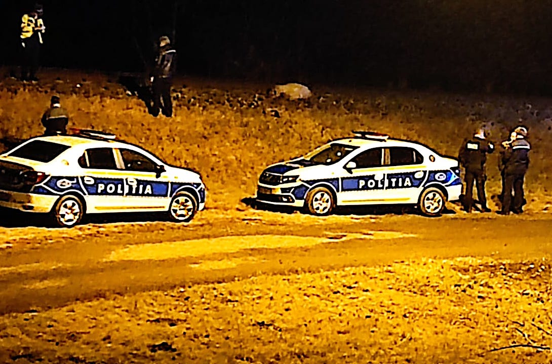 Trenul a lovit o turmă de oi în cartierul Tineretului. Vecinii protestează