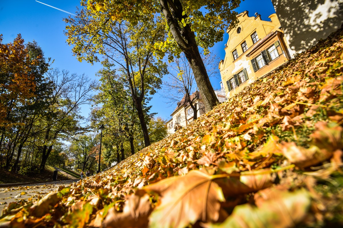 Vine toamna: Minus un grad în Sibiu, maximă de 13