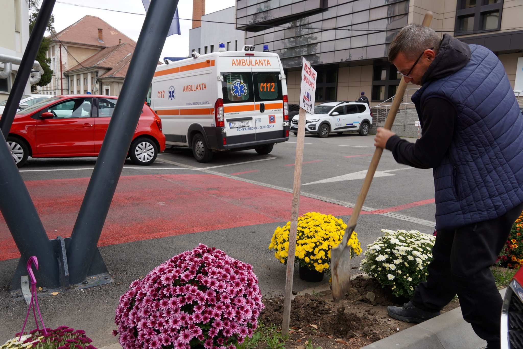 Sibianul care plantează gratis crizanteme în fața spitalului, în amintirea mamei lui. „Vreau să știe că am rămas același om bun”