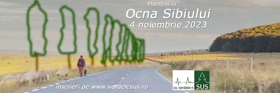 Asociația Cu Verdele-n SUS va planta 4 kilometri de perdea forestieră la Ocna Sibiului. „Zăpada să nu mai fie să nu mai fie troienită pe șosea”