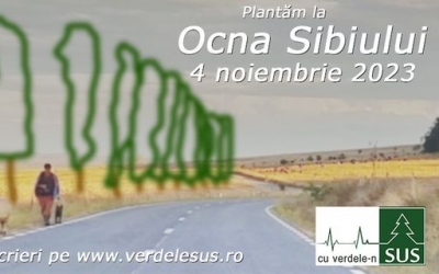 Asociația Cu Verdele-n SUS va planta 4 kilometri de perdea forestieră la Ocna Sibiului. „Zăpada să nu mai fie să nu mai fie troienită pe șosea”