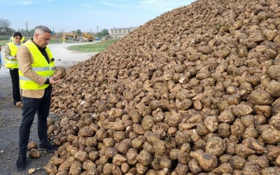 Ministrul Agriculturii, la fabrica de zahăr de la Luduș:  Reînceperea producţiei este dovada clară de patriotism economic