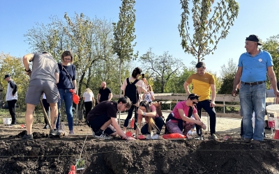 „A Key and a Tree”: Localnicii împreună cu echipa Green Hill® Sibiu au plantat 50 de copaci în cartier