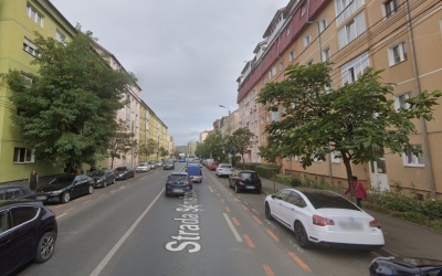 Primăria Sibiu: teii de pe strada Semaforului vor fi transplantați pe strada Ștefan cel Mare