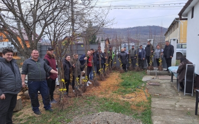 Zeci de sibieni din nordul județului la coadă pentru a primi gratis pomi fructiferi