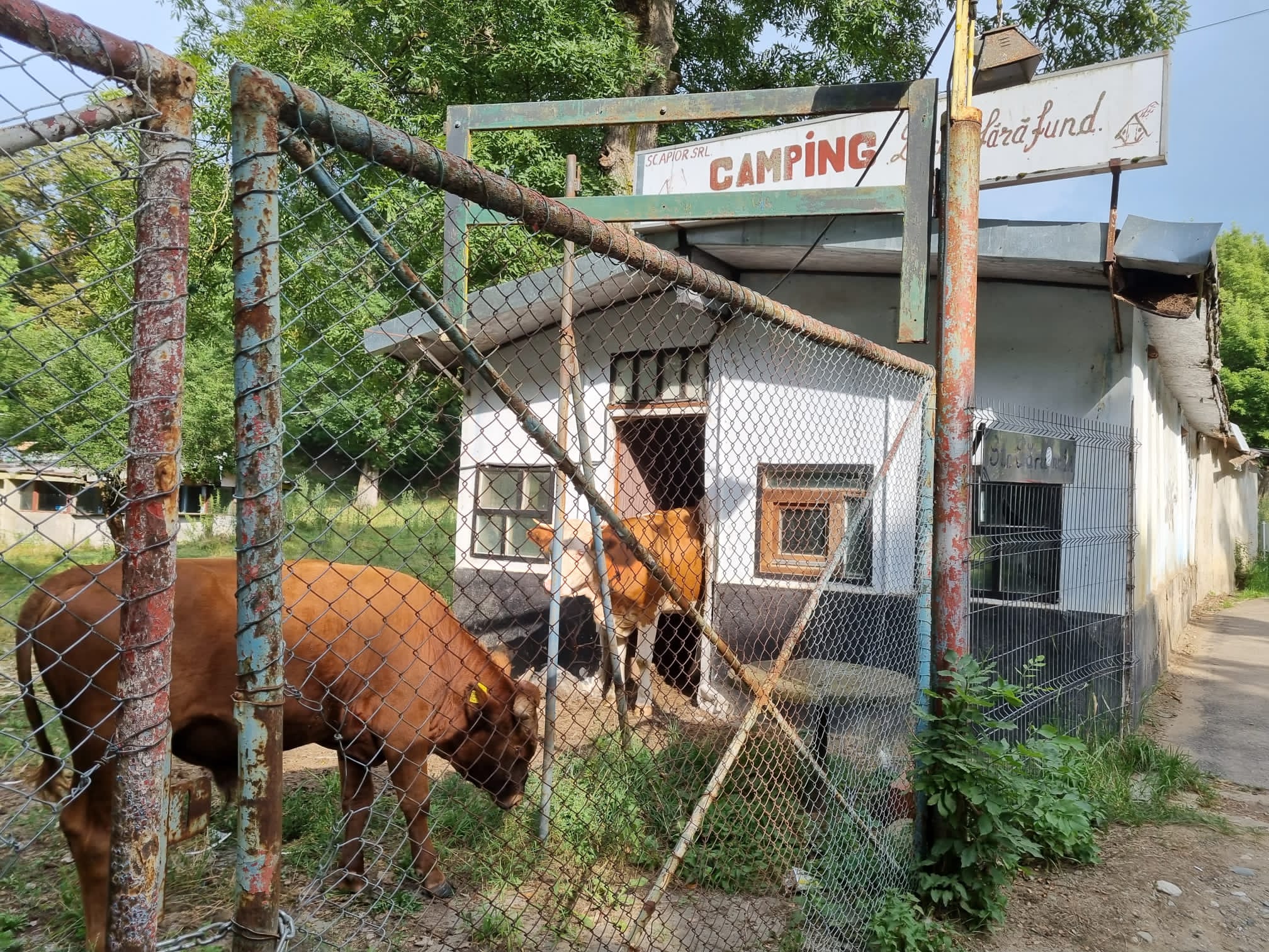 Încă o încercare pentru a dezvolta „litoralul Ardealului”: CNI reia licitația pentru modernizarea a două zone „pline cu vegetație înaltă” în Ocna Sibiului