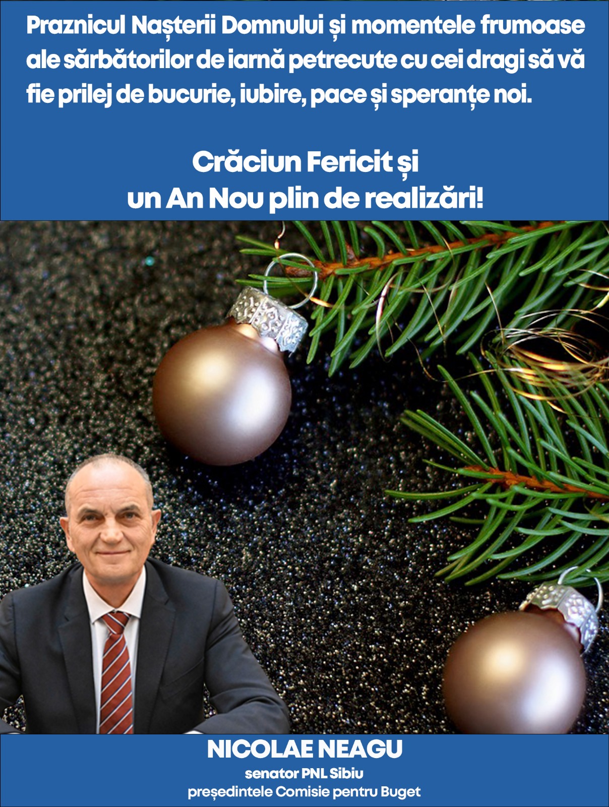 Mesajul de Crăciun din partea Senatorului Nicolae Neagu