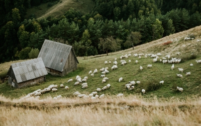 „Țara Colibelor” este exemplu de bune practici la ministerul Turismului. Se propune un turism identitar, de promovare a „spiritului locului,” în tihnă, într-un mix de experiențe