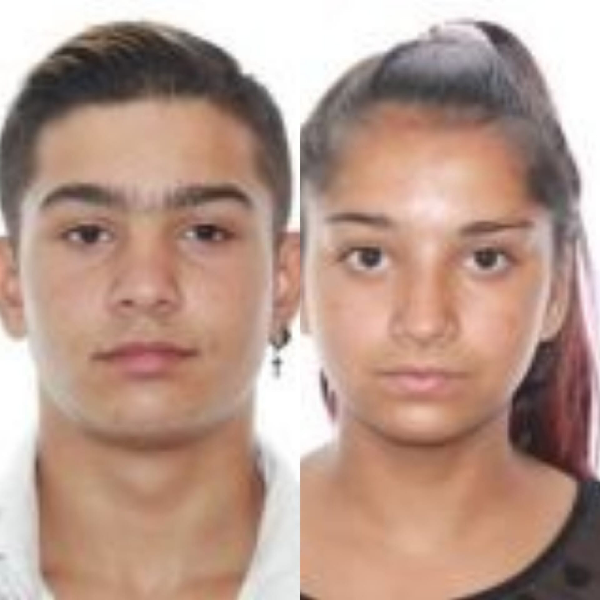 Alertă IPJ Sibiu: doi minori sunt dați dispăruți de o mamă