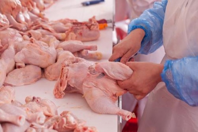 Dintr-un magazin din Mediaș a fost retras un lot de carne de pui: era contaminată cu salmonella