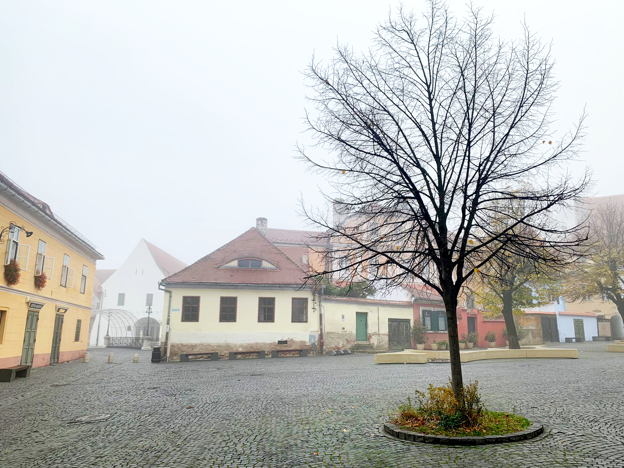 Se încălzește vremea în județ. Minimă de -5 și maximă de 4 grade în municipiul Sibiu