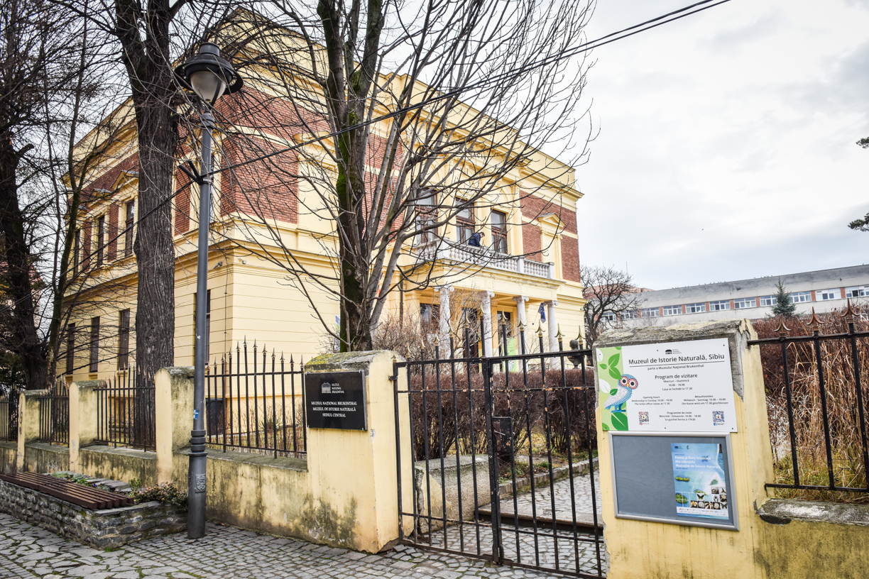 Judecătorii decid, în primăvară, cui rămâne Muzeul de Științe Naturale: Sibiului ori Forumului Democrat al Germanilor