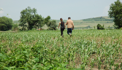 APIA Sibiu: Agricultura ecologică și ecoschemele pentru zootehnie vor aduce cele mai multe beneficii în următorii 5 ani fermierilor sibieni