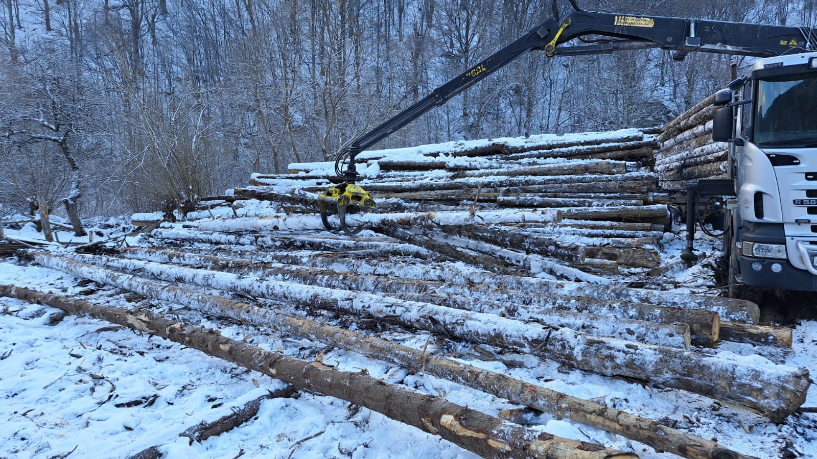 Amenzi de 20.000 de lei pentru o societate de prelucrare a lemnului din Râu Sadului