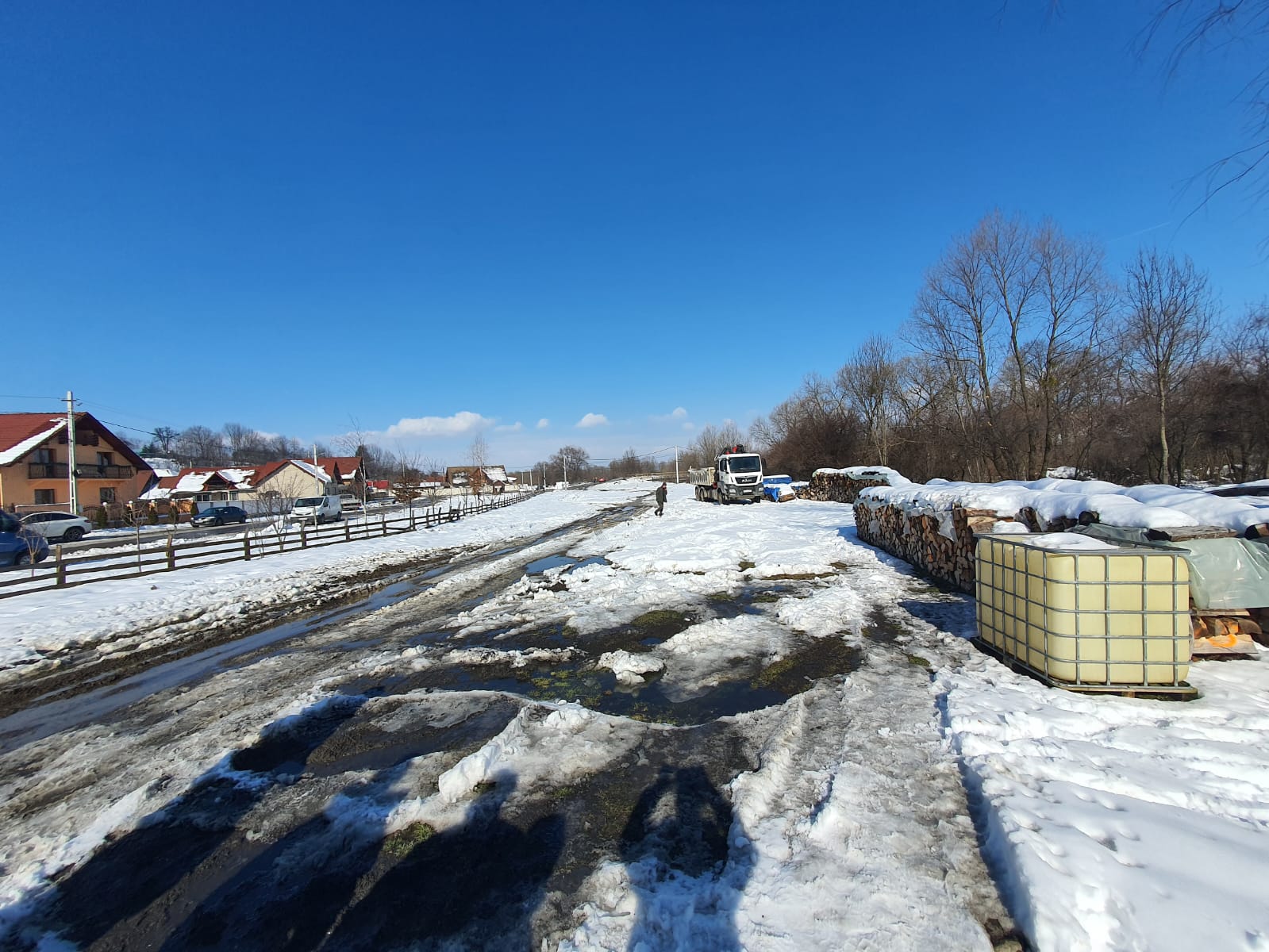 Doi sibieni amendați cu 11.000 de lei pentru că nu au putut justifica de unde au lemnele din fața casei