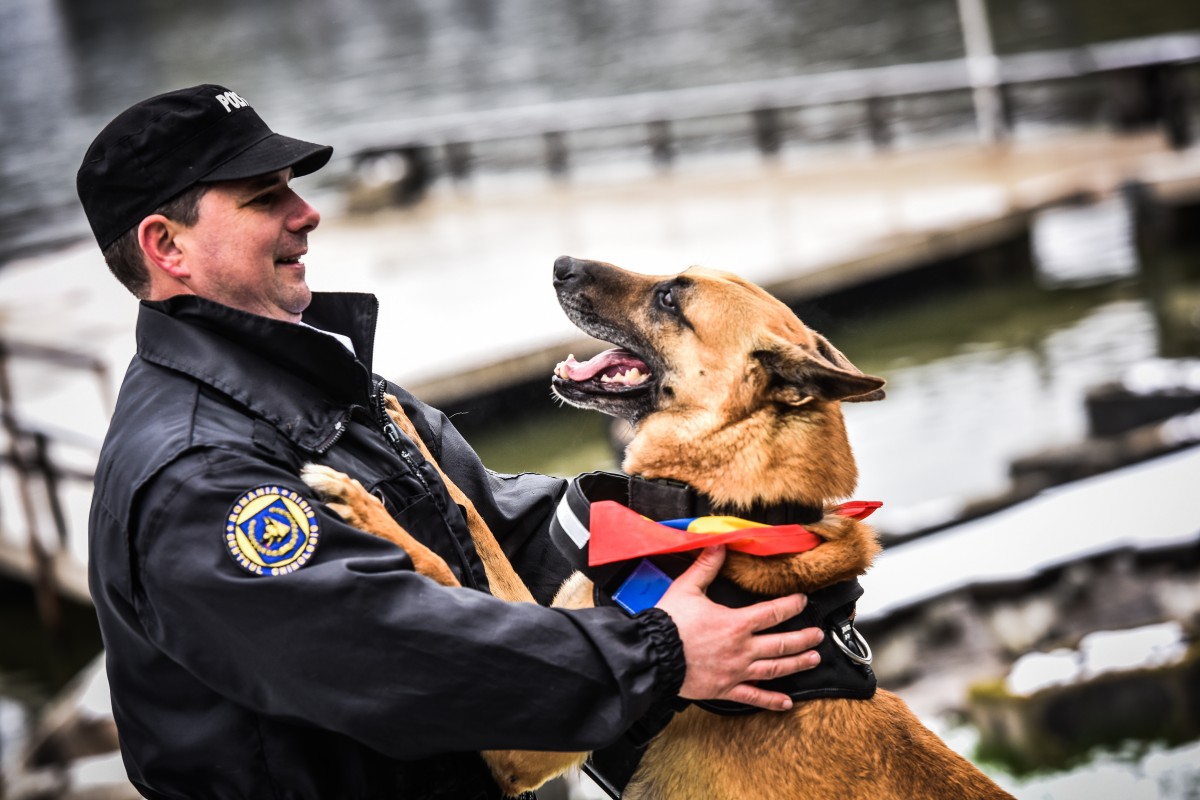 Centrul Chinologic Sibiu, singurul loc din România unde se pregătesc câinii de salvare în caz de cutremur: echipa canină întotdeauna se află în prima linie