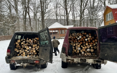 Și-au umplut mașinile cu lemne tăiate ilegal. Doi bărbați de 37 de ani au acum dosar penal