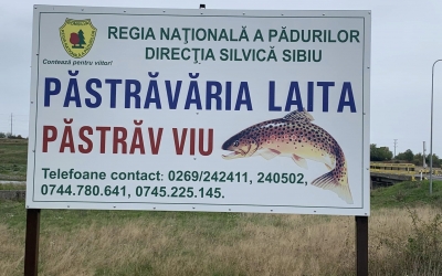 18 tone de pește distruse. Focar de septicemie hemoragică virală la o păstrăvărie din județul Sibiu