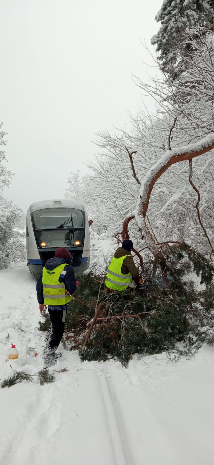 Întârzieri ale trenurilor din Sibiu din cauza unui copac căzut pe linii