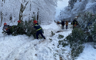 Trafic blocat în zona muzeului Astra din cauza unui copac căzut pe șosea