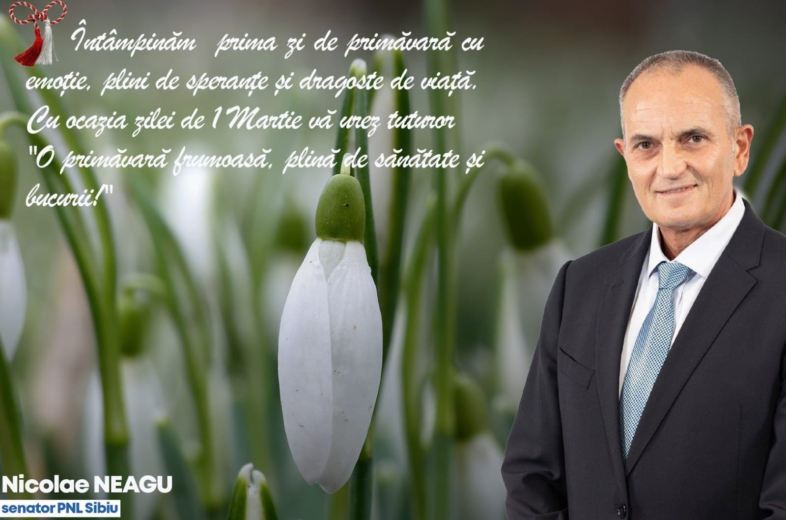 Mesajul senatorului Nicolae Neagu de 1 martie