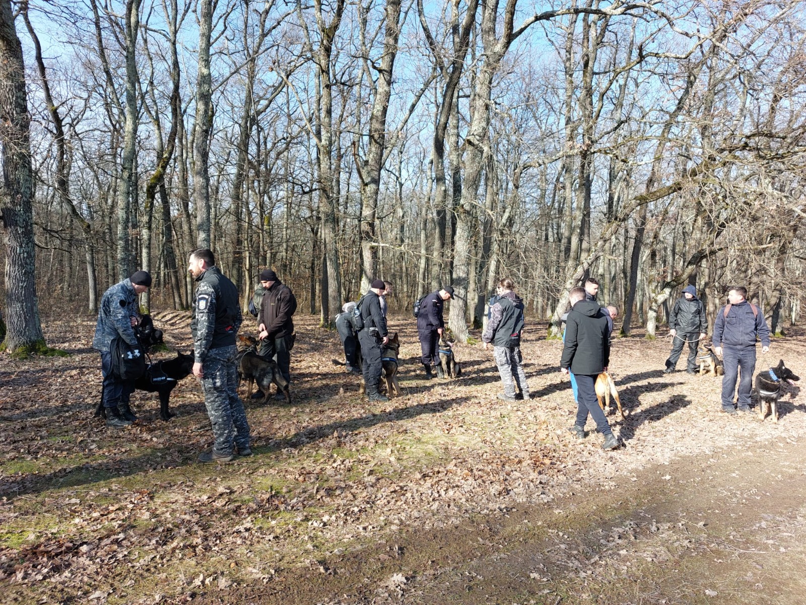 Noi căutări fără rezultat ale polițiștilor sibieni. Angelika, studenta dispărută la începutul lunii februarie, nu a fost găsită