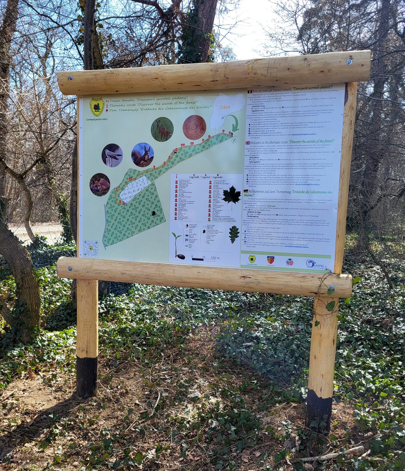 Primul traseu tematic finalizat de Direcția Silvică în Sibiu are un km: ”Știați că...”