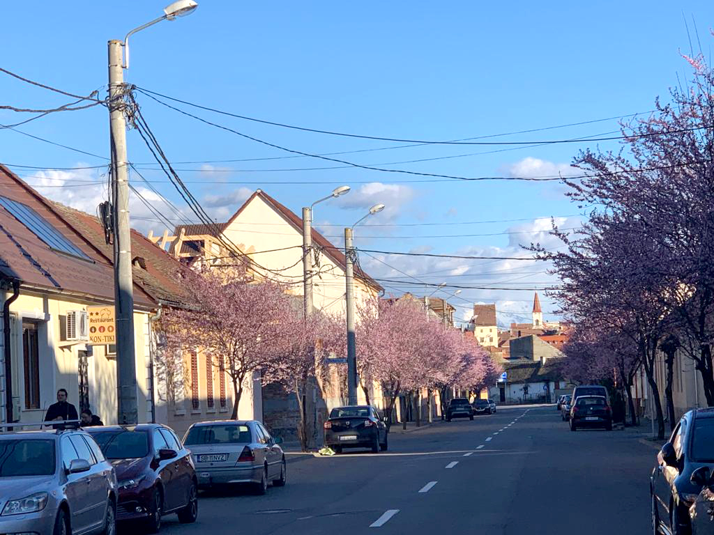 Cod roșu de vânt în sudul județului Sibiu