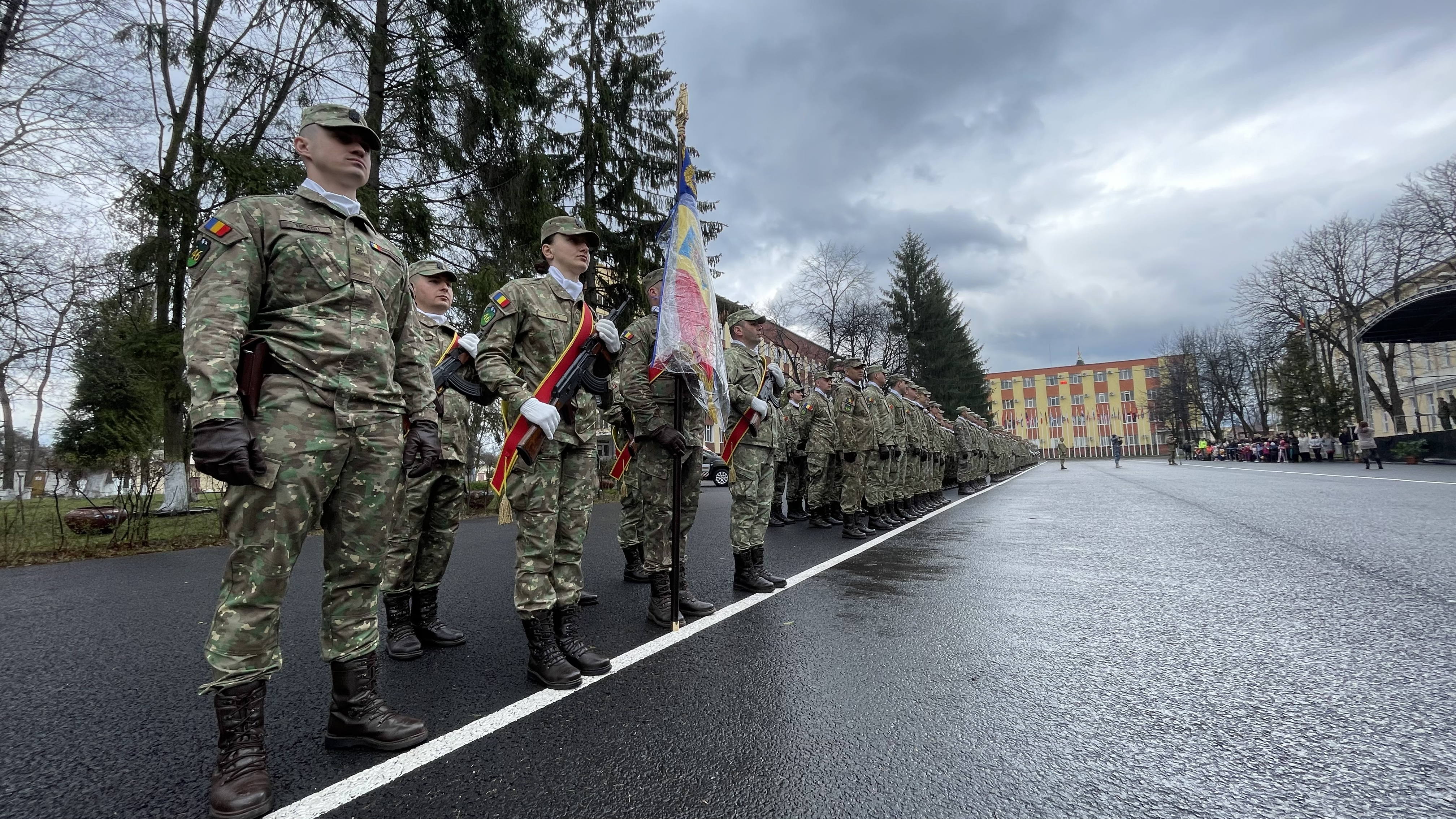 Drapel lupta comandament Nato