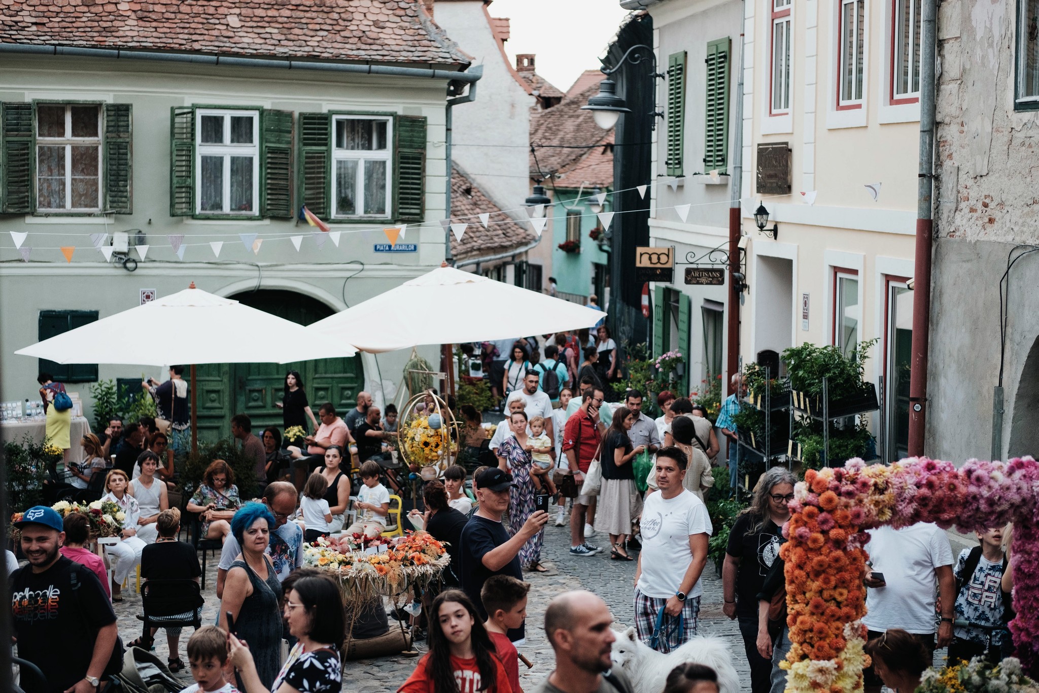 „Sibiul nu înseamnă doar Piața Mică și Piața Mare”. Flori pe scări, festivalul care readuce la viață Orașul de Jos, revine anul acesta cu două ediții