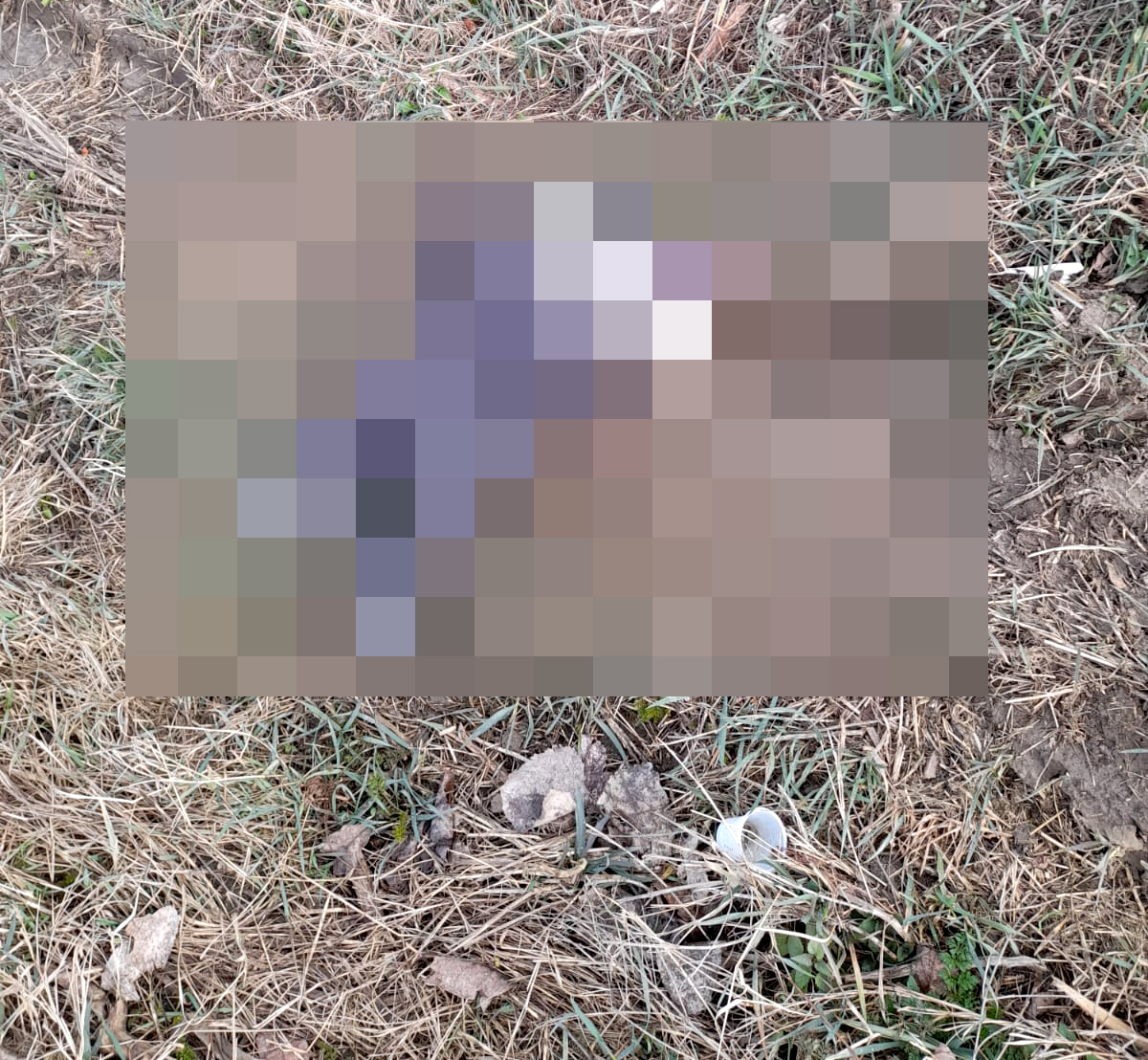 Mai multe familii vor să o adopte pe fetița abandonată pe câmp. DGASPC Sibiu: prioritate au rudele