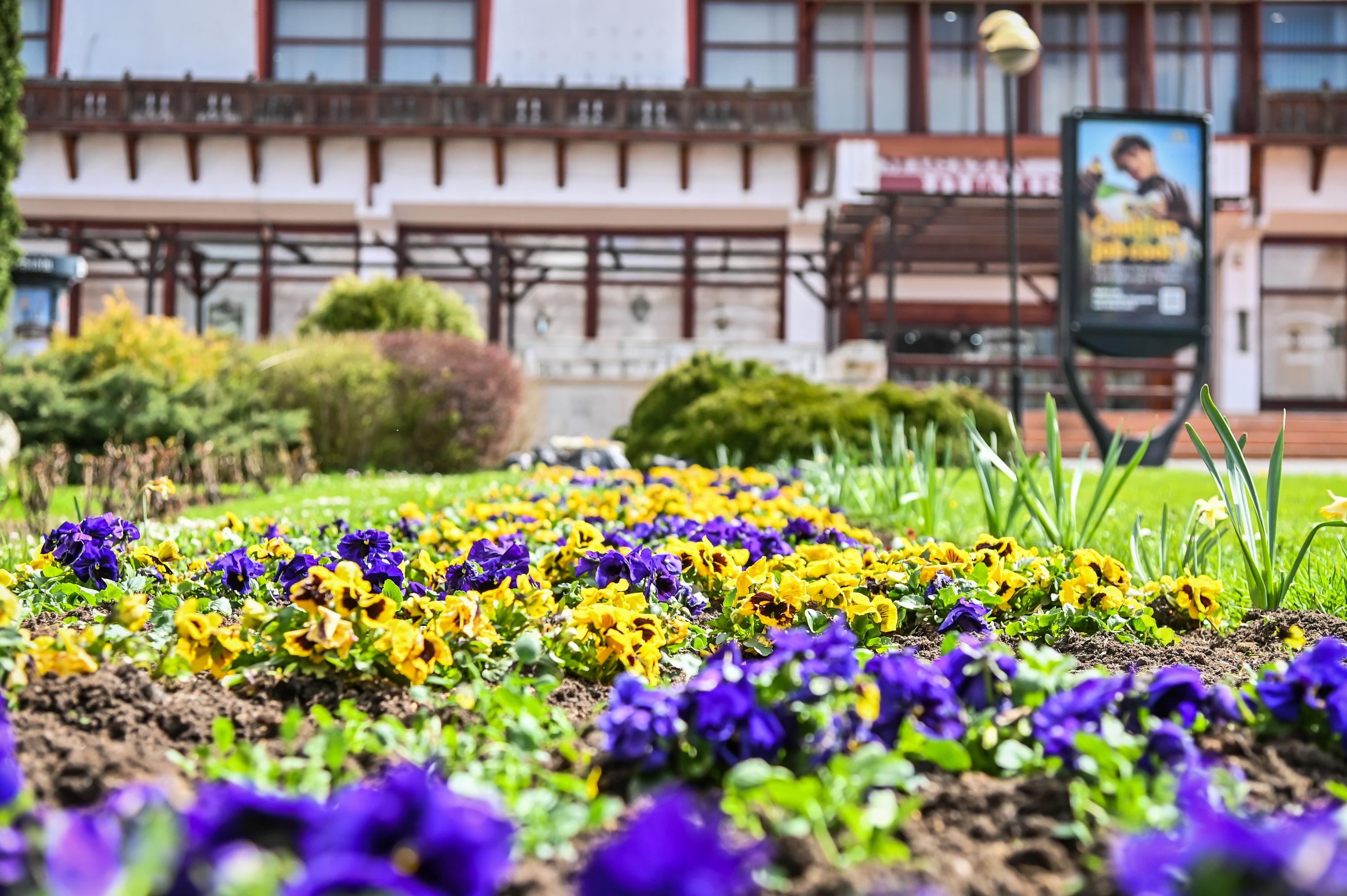 21 de grade, în Sibiu, în Vinerea Mare. Spre seară s-ar putea să plouă