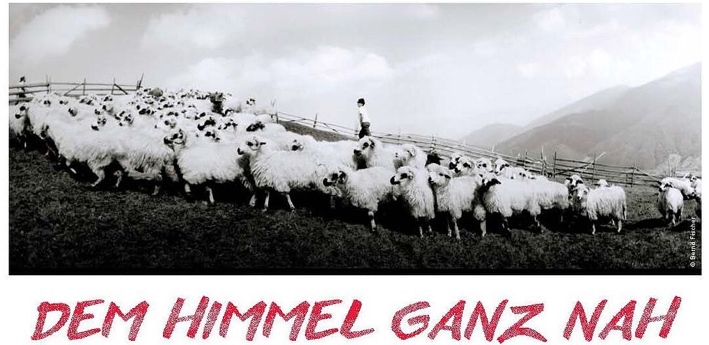 Un film despre o familie de ciobani din Jina va fi difuzat în Germania: „Aproape de cer”