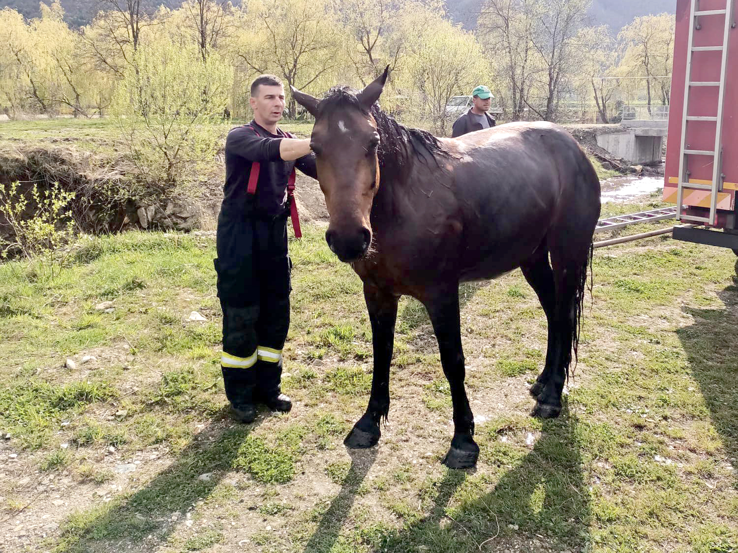 Pompierii au salvat un cal dintr-un lac aflat la marginea localităţii Orlat