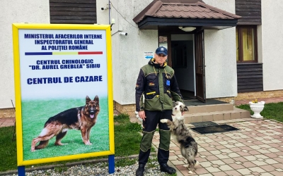 Trei echipe canine ale Poliției de Frontieră din Republica Moldova, școlite la Sibiu. Specializarea câinilor este în detectarea substanțelor explozive